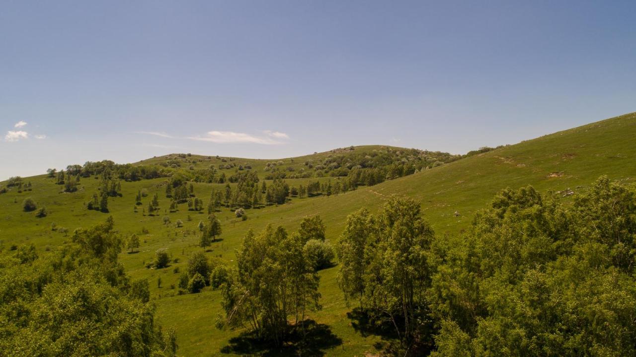 Vila Tea Villa Novi Vinodolski Kültér fotó